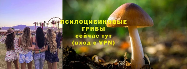дмт Магадан
