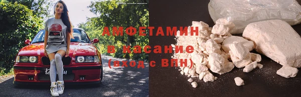 крисы Магас