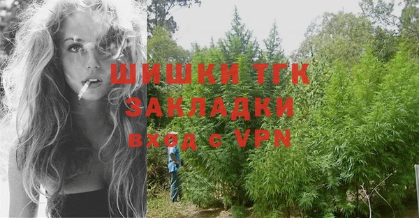крисы Магас