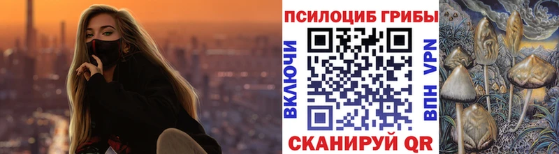 Галлюциногенные грибы Psilocybe  хочу   Нефтегорск 